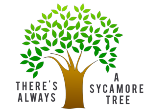 zacchaeus-sycamore-tree